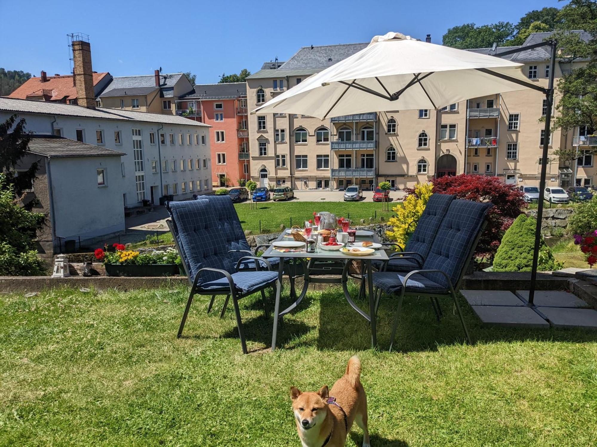 Uo2 - Urlaubsmagie - Garten, Whirlpool, Sauna Apartamento Sebnitz Exterior foto
